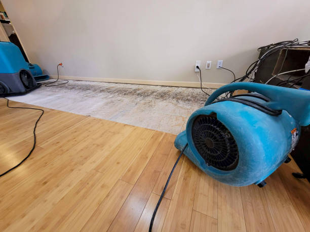 Professional Water Damage Repair technician working in Pacolet, SC